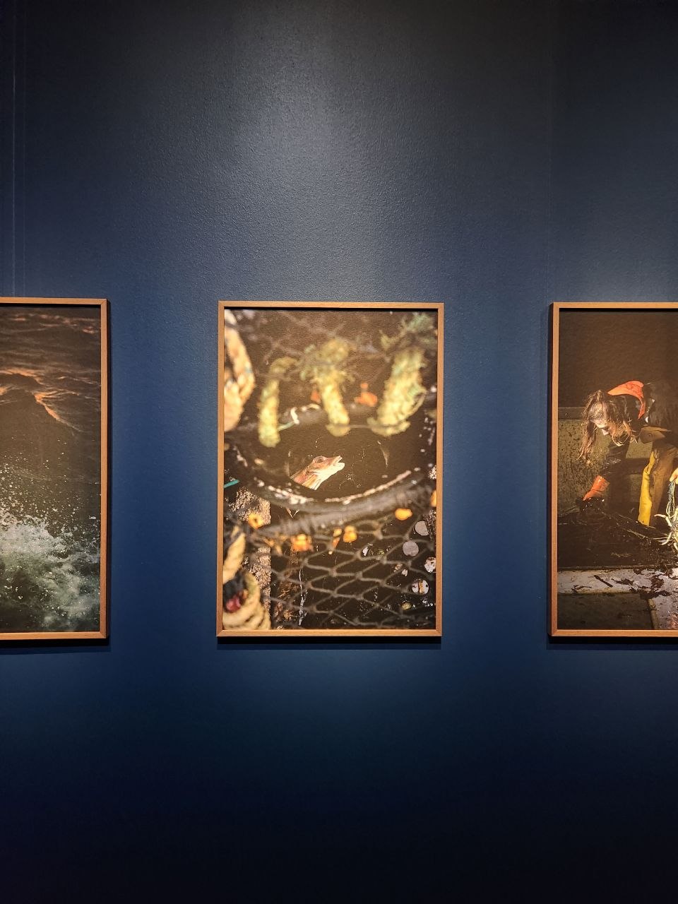 expo photo mer champs libres rennes