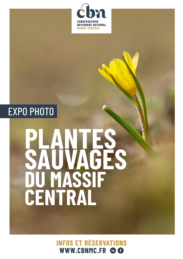 Expo photo "Plantes sauvages du Massif central" (43) Jardins de Taulhac Le Puy-en-Velay