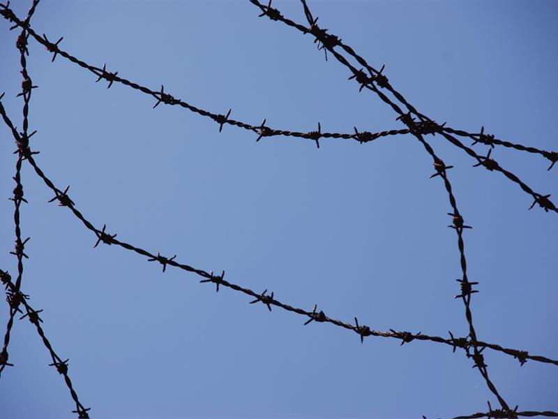 Exposition Against forgetting  Niederbronn-les-Bains