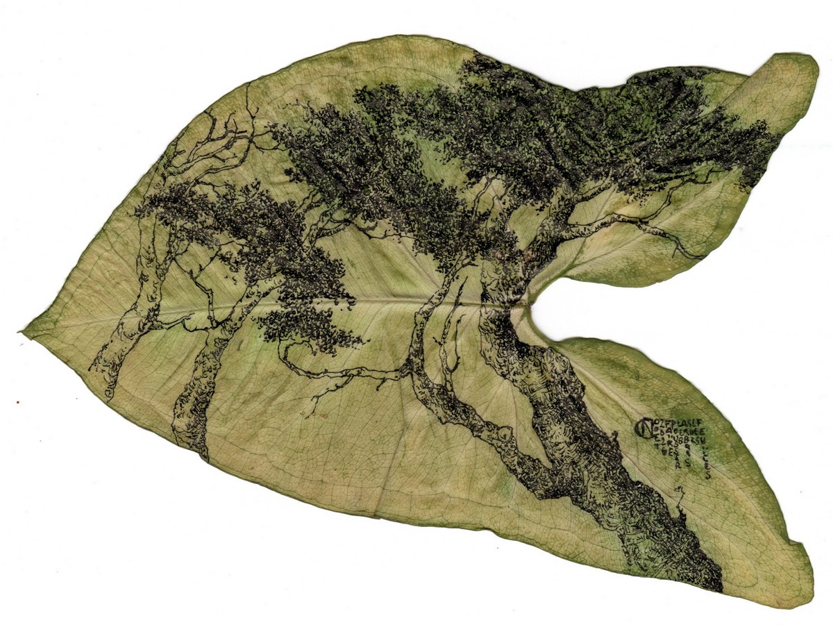 EXPOSITION CAROLE NOUET SOPHIE BLANC Ecluse de Villesèque Villesèquelande 2026-07-01