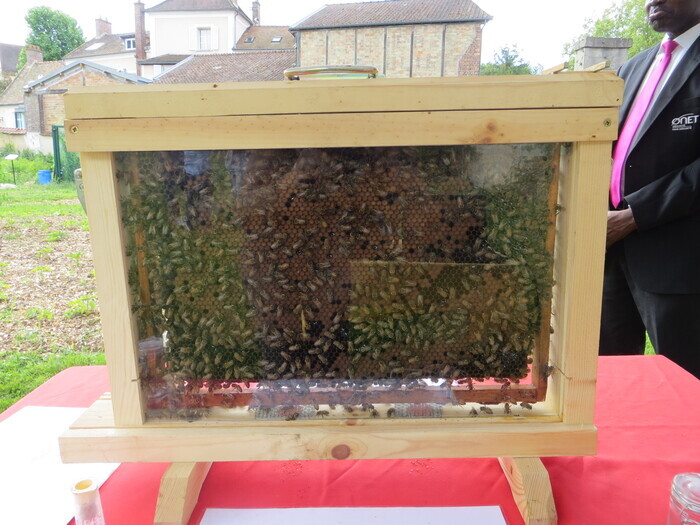 Exposition d’Apiculture Château de La Celle Saint-Cloud La Celle-Saint-Cloud