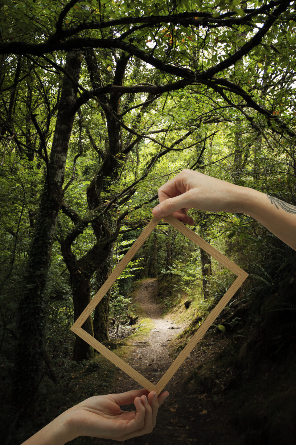 Exposition d&rsquo;art by Val Nuances Bibliothèque municipale Belin-Béliet