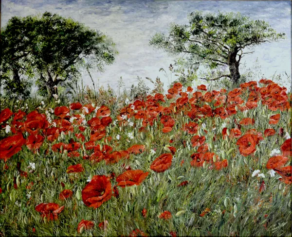 Exposition de Cathy Cavalier Maison des associations Belcastel