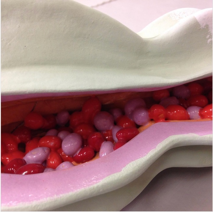 Exposition de graines en céramique Jardin du côté des roches brunes Montreuil