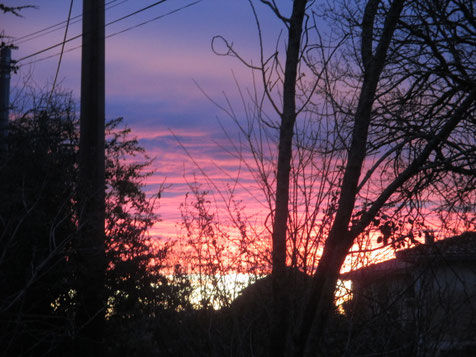 EXPOSITION DE PEINTURE Le Village Saint-Frajou 2026-06-27