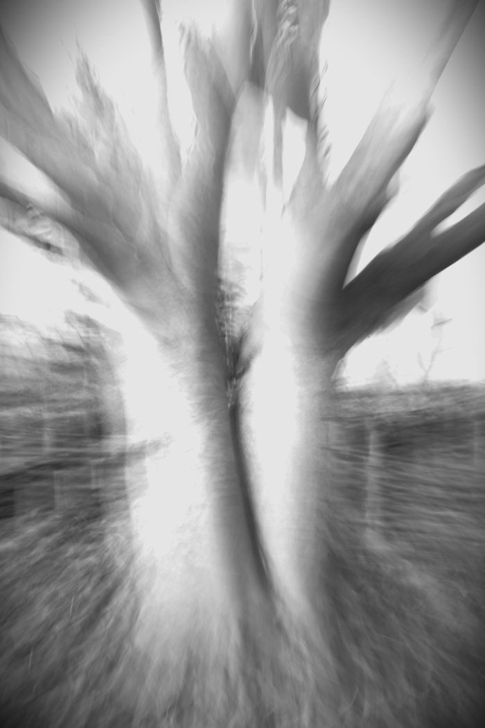 Exposition, Jardin de Colette, Auvers-sur-Oise