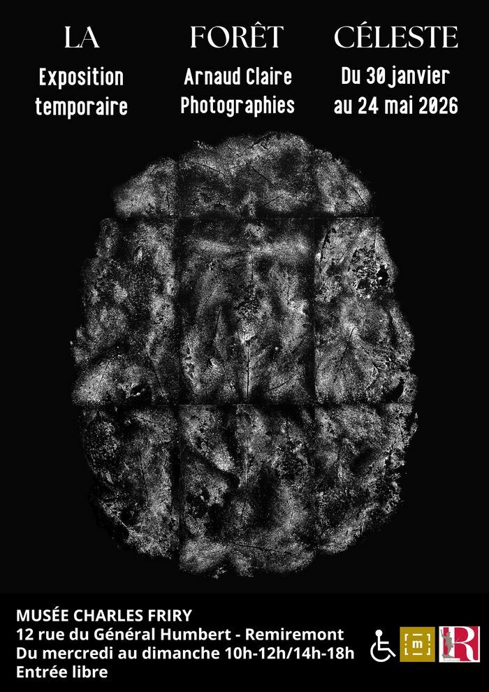 Exposition « La forêt céleste. Photographies d’Arnaud Claire », Musée Charles Friry, Remiremont