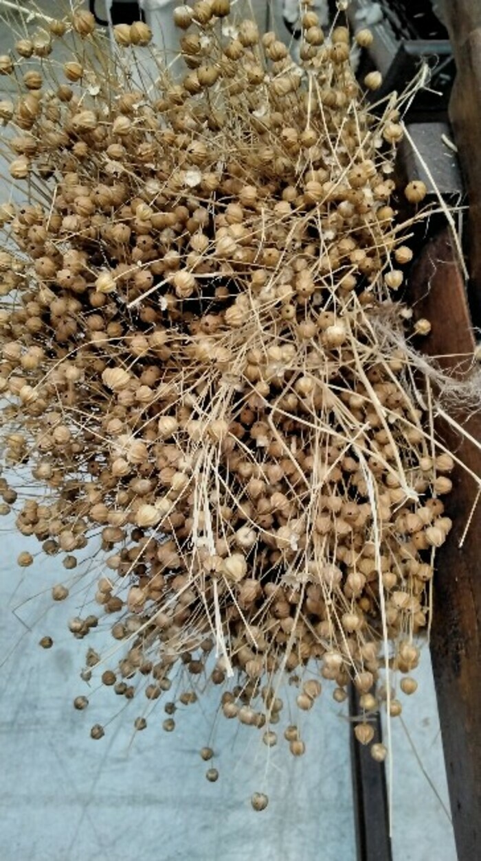 Exposition Lin&rsquo;ovation, La Maison du Textile, Fresnoy-le-Grand