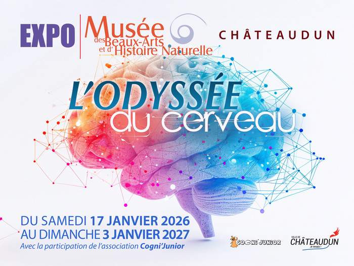 Exposition "l'odyssée du cerveau" Musée des beaux-arts et d'histoire naturelle Châteaudun