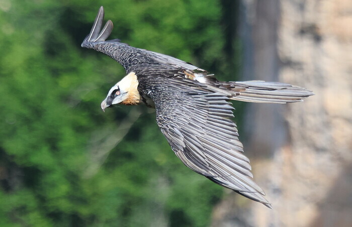 Exposition « Lumières cévenoles », Médiathèque Germinal, La Grand-Combe