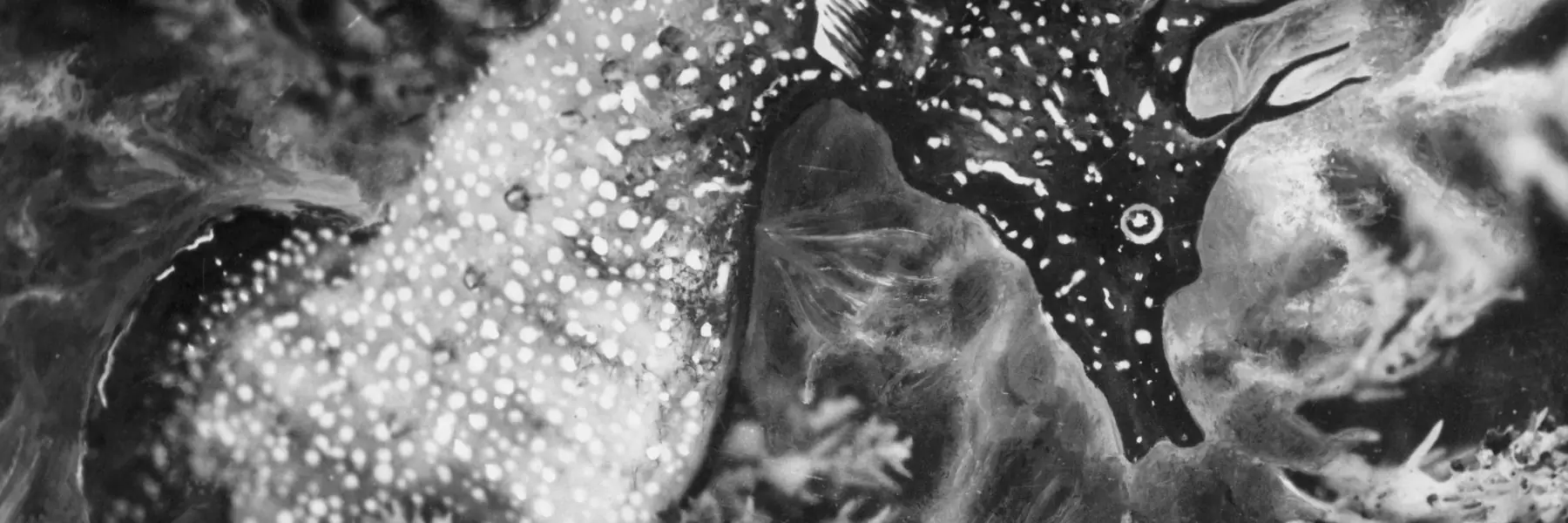 exposition painlevé