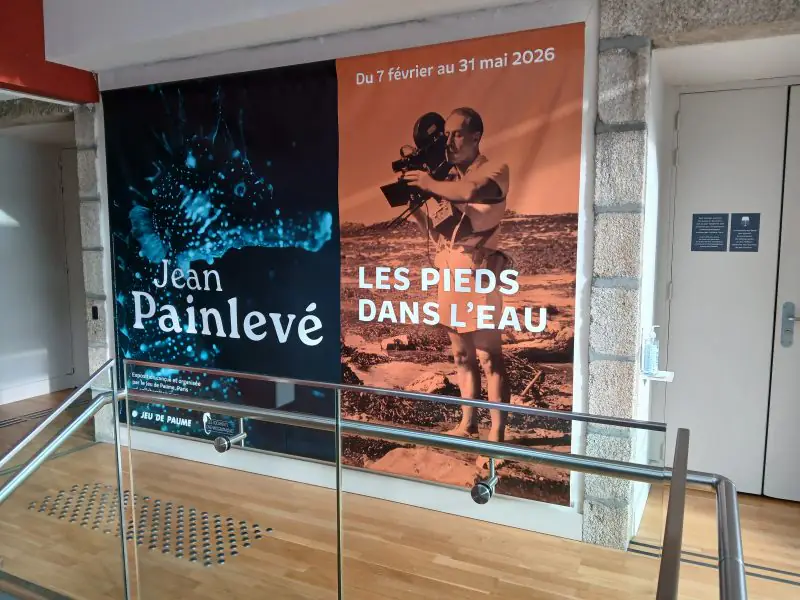 exposition painlevé