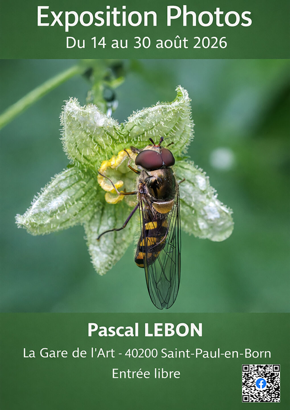 Exposition Photo Pascal Lebon Gare de l'Art Saint-Paul-en-Born 2026-08-14