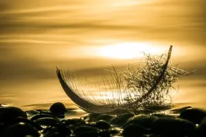 Exposition photos D'ombres et de lumières de APRAN village d'Aubrac Saint-Chély-d'Aubrac 2026-09-14