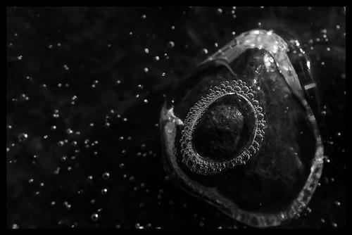 Exposition photos Maison de la Culture et des Loisirs Gérardmer