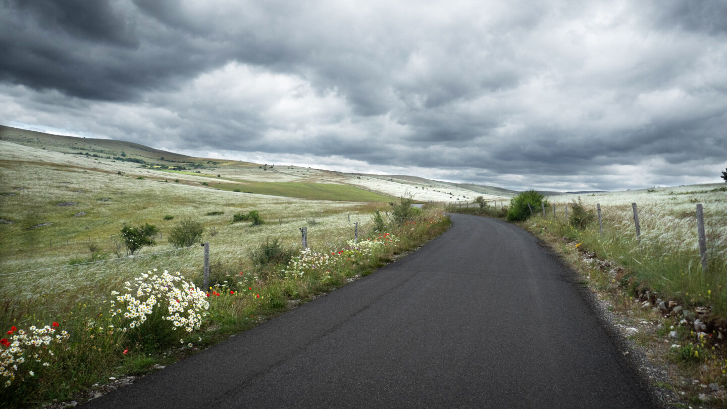 EXPOSITION PHOTOS LOZÈRE, DANS L&rsquo;INTIMITÉ DE LA VIE SAUVAGE  Langogne