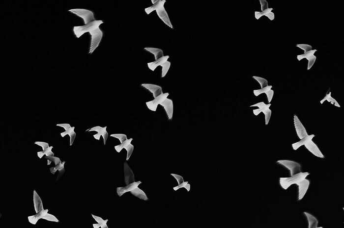 Exposition photos : Staccato Médiathèque de Lille Sud Lille