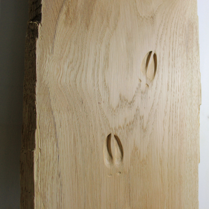 Exposition Récits de Forêts Lélia Demoisy, Domaine départemental de Chamarande, Chamarande