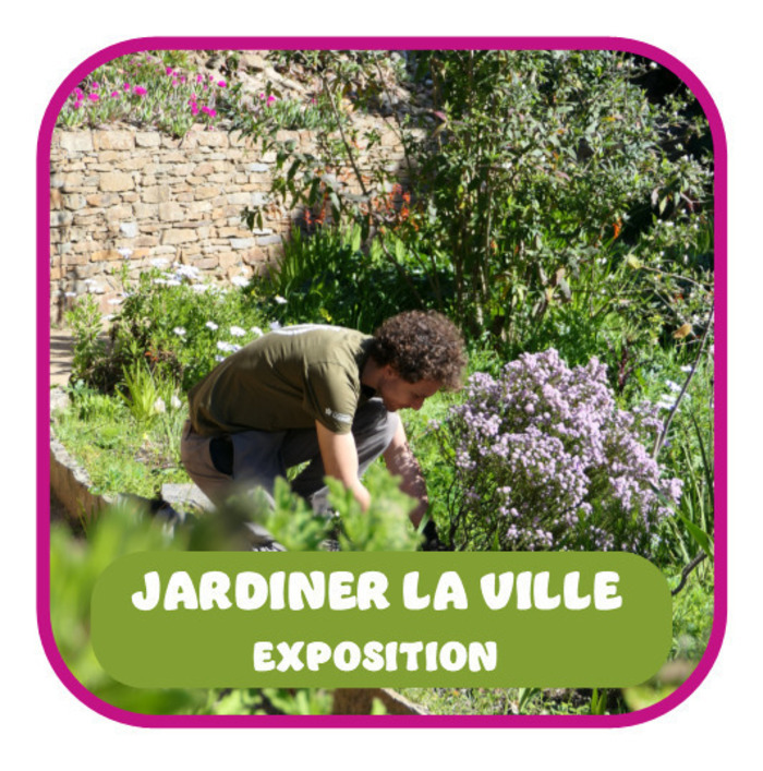 Exposition : Rocher des Doms : une histoire de jardin, Bibliothèque Ceccano, Avignon