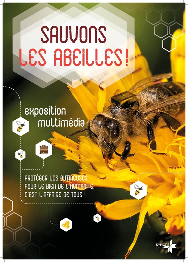 Exposition Sauvons les abeilles La Haye du Puits La Haye