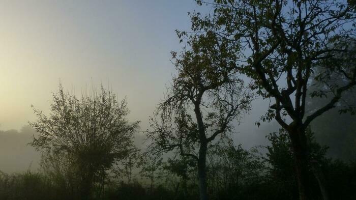 Exposition « Sculptures en Jardins » de Daniel Lafouge, Jardin d&rsquo;émotions, Épinac