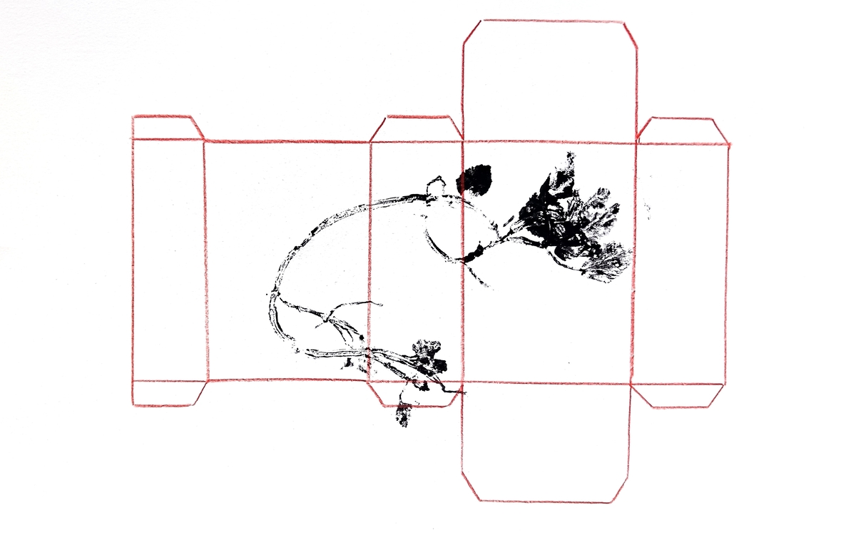 Exposition Symbiose à Rézoest REZOEST Le Pré Saint-Gervais