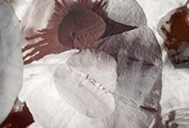 Expositions d'Automne Galerie Capazza Nançay 2026-10-03