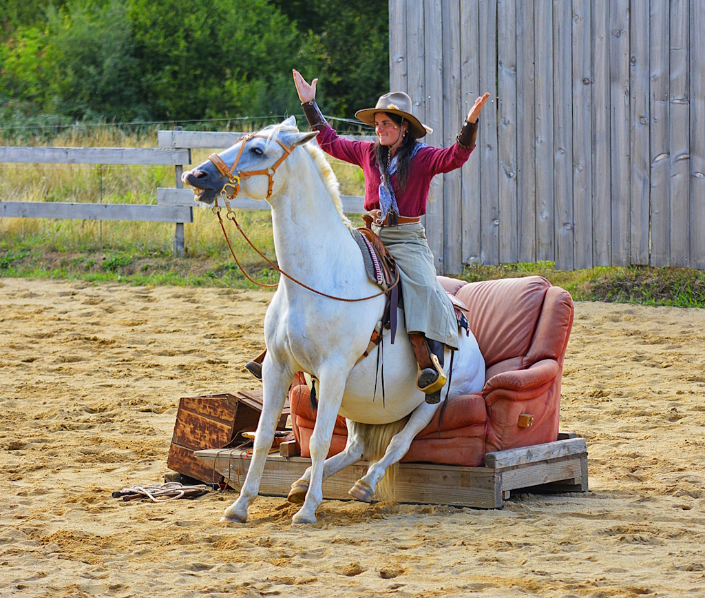 Far-West Story Spectacle Equestre 10 Lieu-dit Villeforceix Cieux 2026-07-08