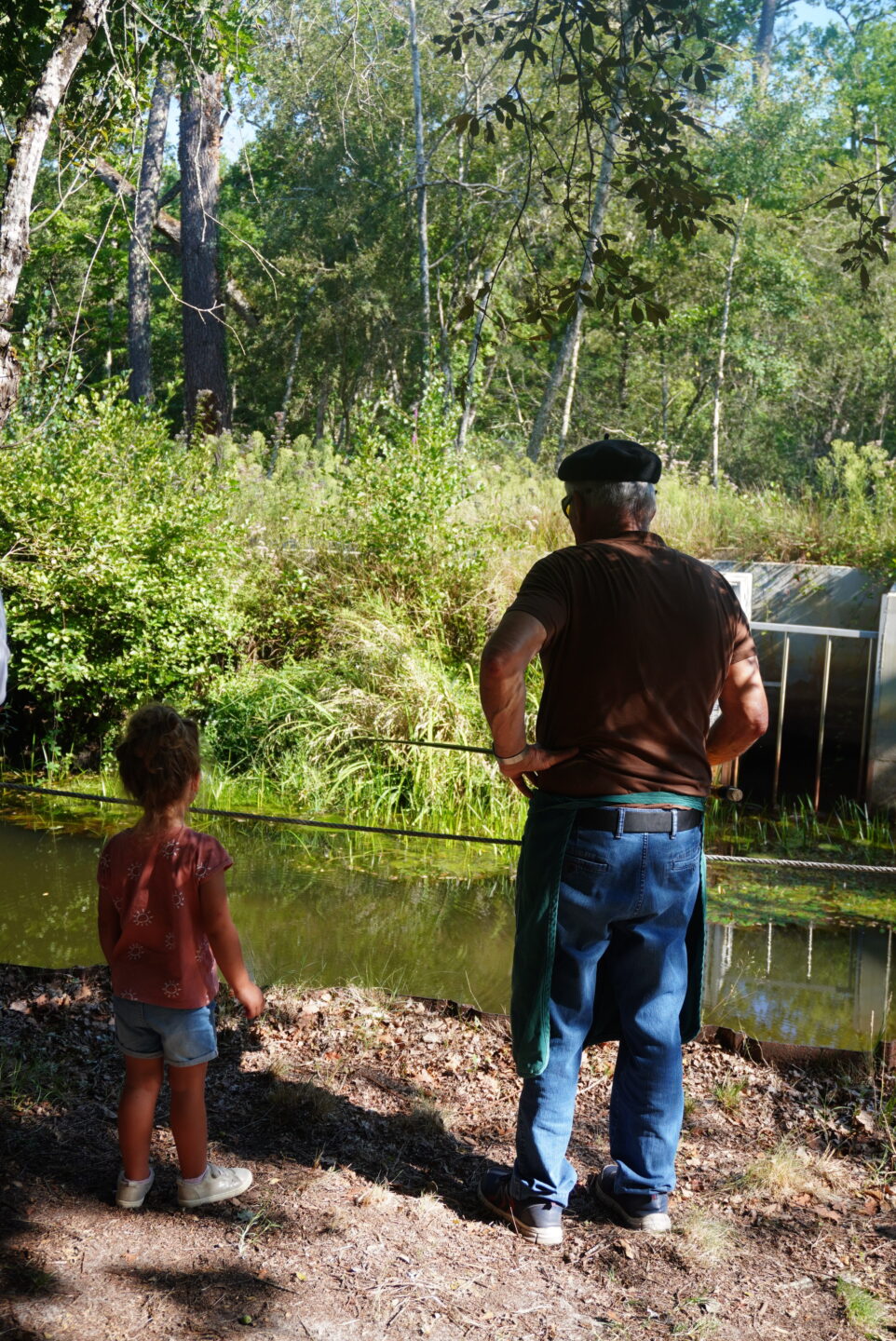 Faune et traditions à Marquèze Écomusée de Marquèze Sabres