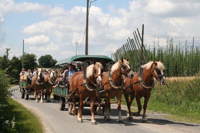 Ferme brasserie Beck Ferme brasserie Beck Bailleul