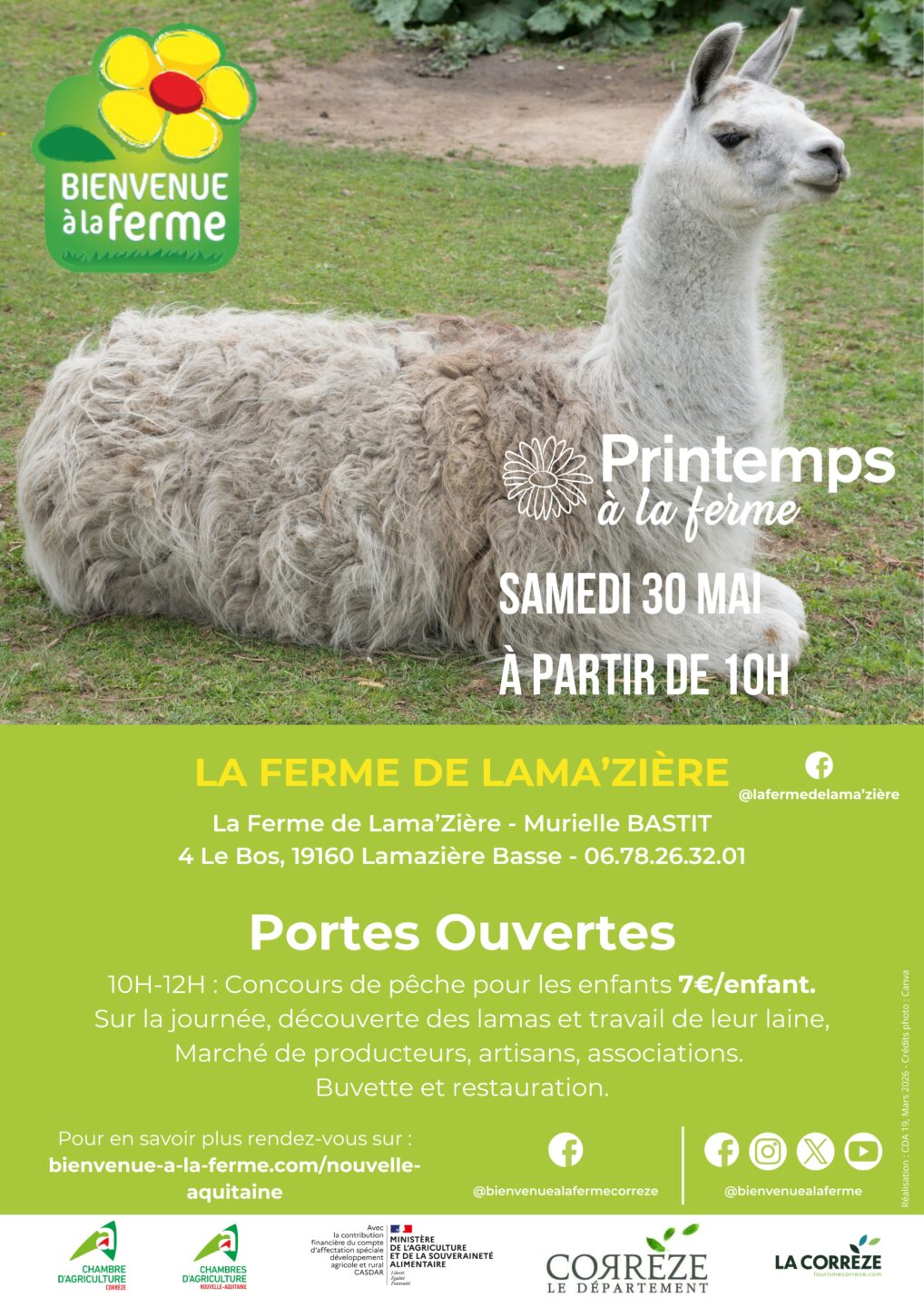 Ferme de lama&rsquo;zière Printemps à la ferme BAF  Lamazière-Basse