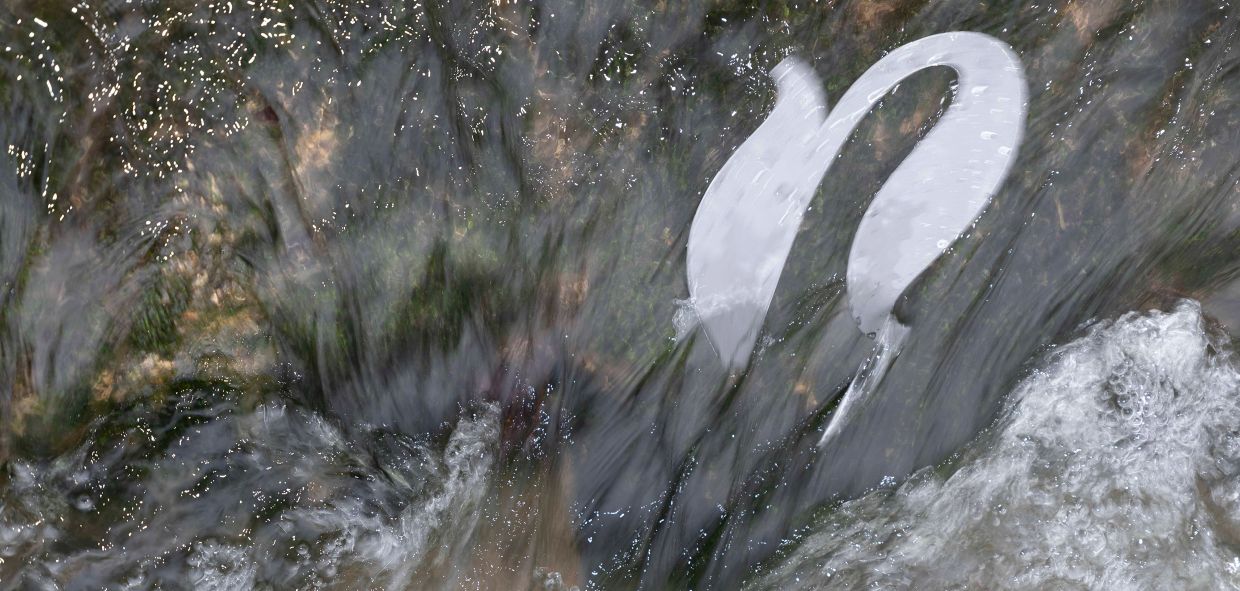 Festival d&rsquo;histoire naturelles en Côte d&rsquo;Or -1e édition  Montbard