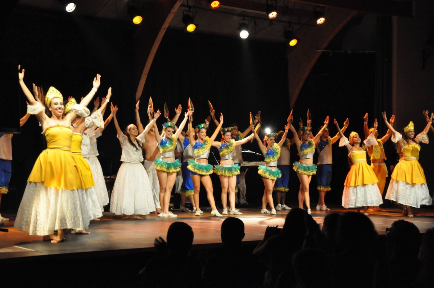 FESTIVAL INTERFOLK 48  Langogne