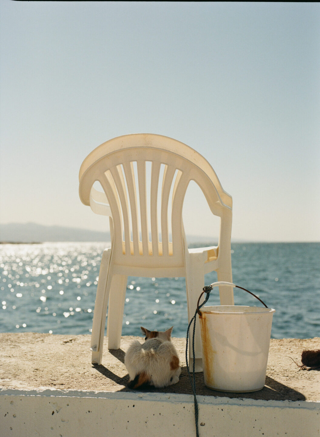 Festival Orizons Exposition La Chaise en plastique Espace culturel François Mitterrand Périgueux
