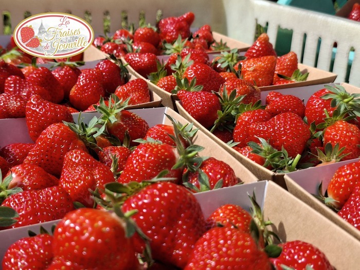 Fête de la fraise, Château du Grand Jardin, Joinville