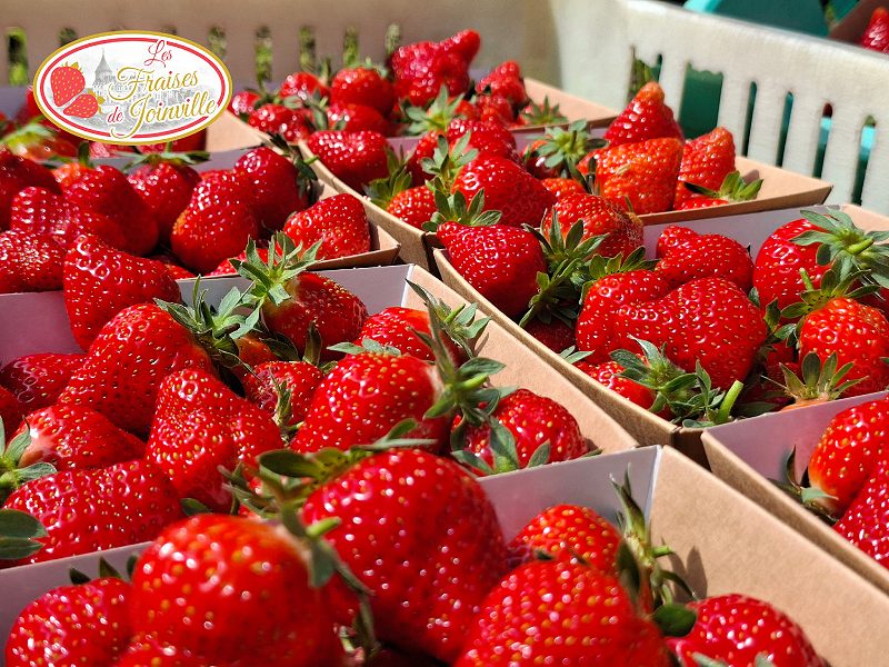 Fête de la fraise  Joinville