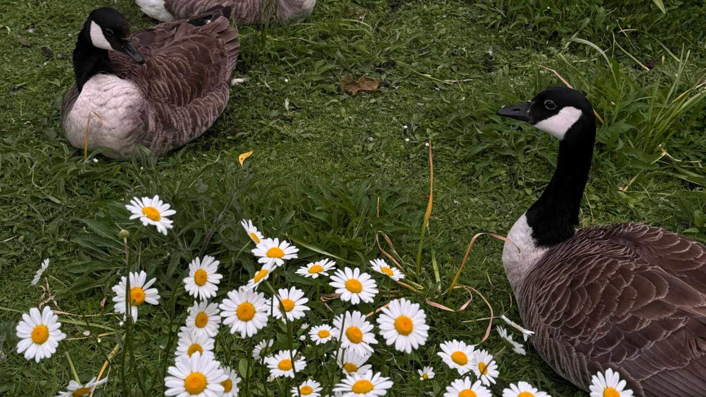 FETE DE LA NATURE LAC BLEU Léognan 2026-05-23