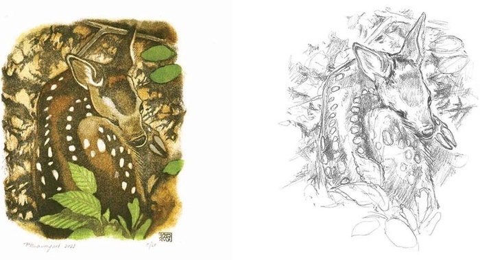 Fête de la Nature Parc des Serves Genève