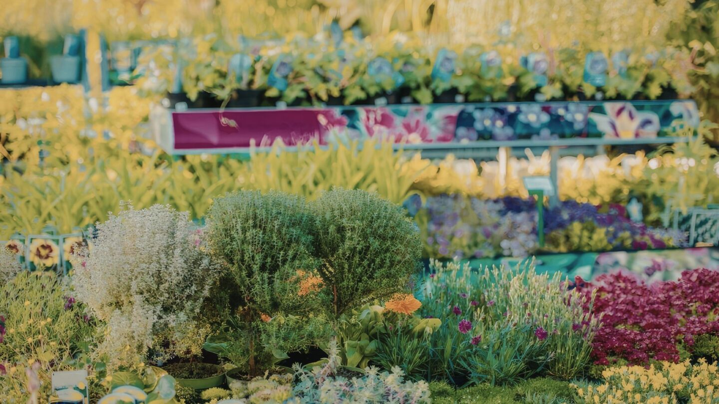 Fête des jardins et de la biodiversité  Monein