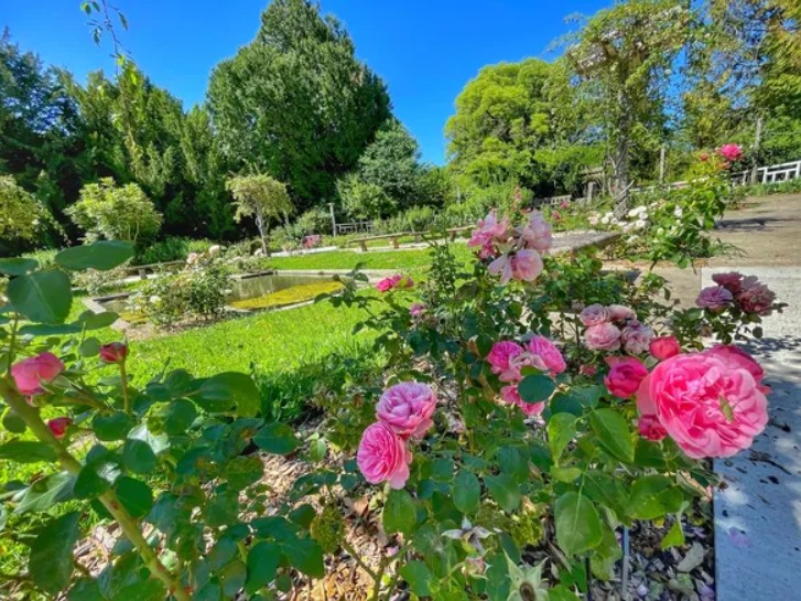 Fête des plantes et du jardin de la rose Roseraie des Vaseix Verneuil-sur-Vienne