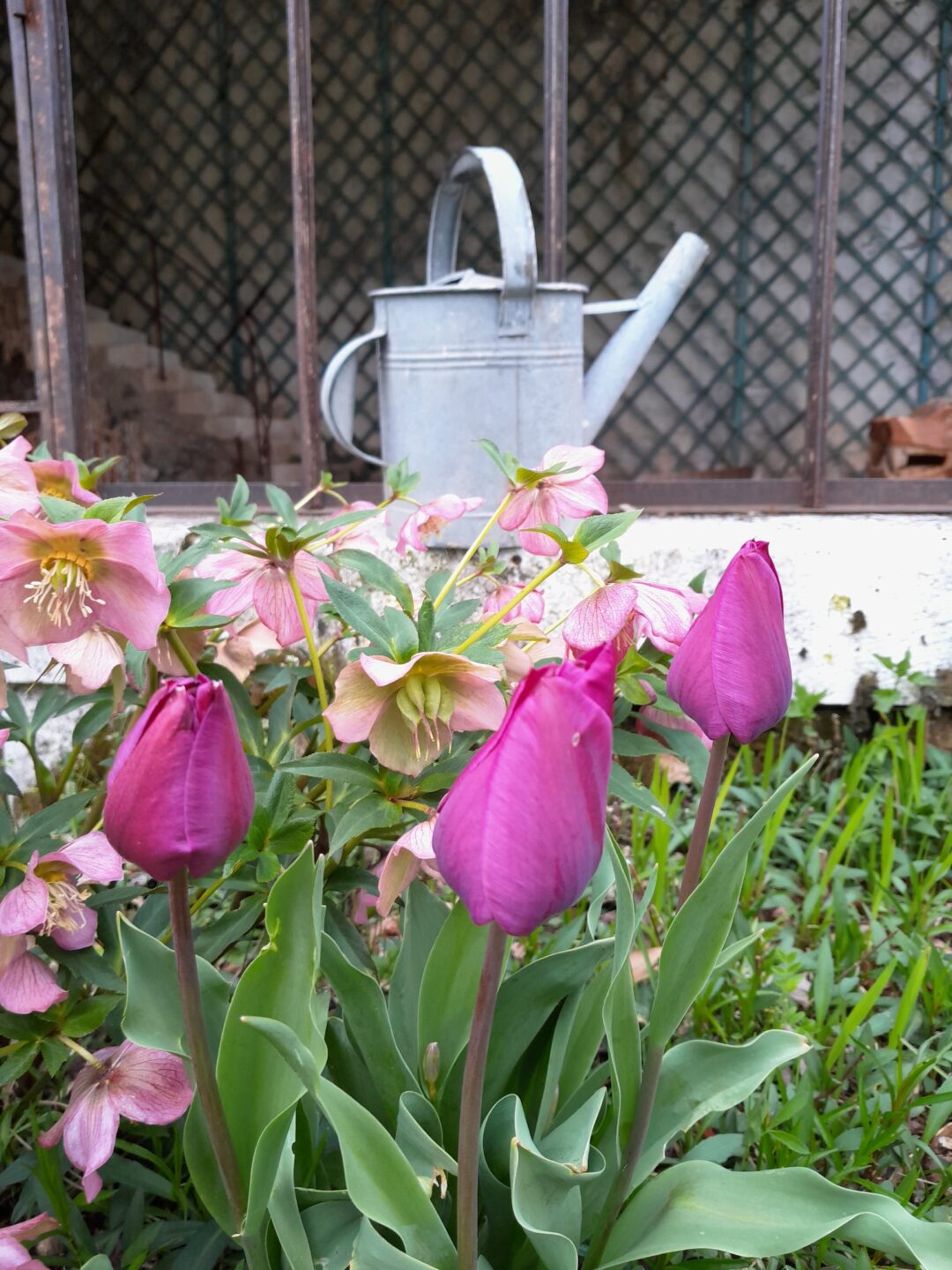 Fête du printemps Lieu dit La Forge Souillac 2026-04-26