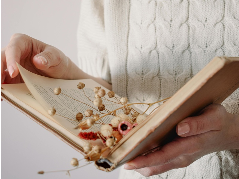 Fêtes des librairies indépendantes à la librairie LIRE Librairie LIRE Bazas