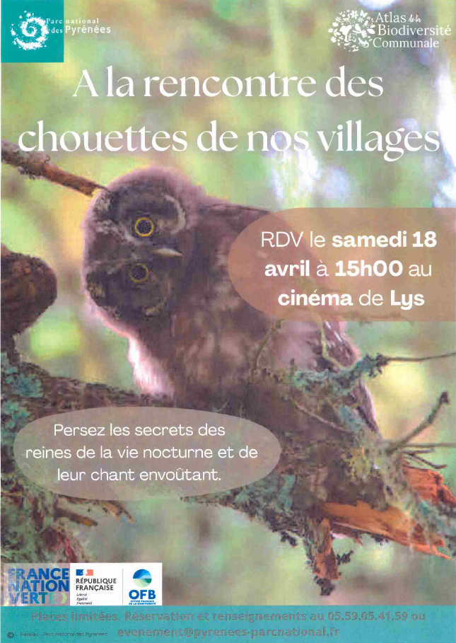Fêtons la biodiversité A la rencontre des chouettes de nos villages Maison pour tous Lys