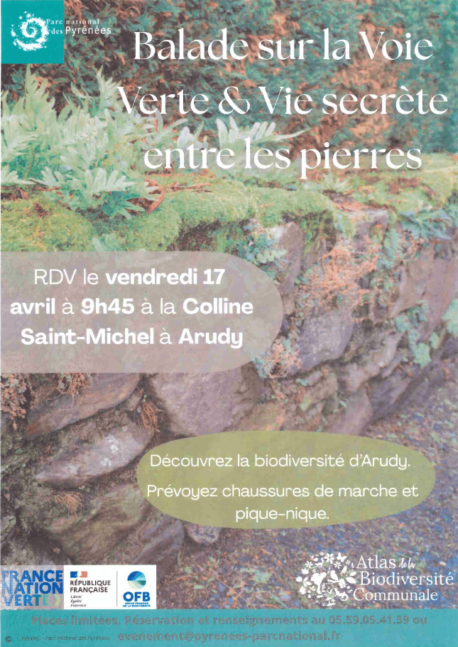 Fêtons la biodiversité Balade sur la voie verte & La vie secrète entre les pierres  Arudy