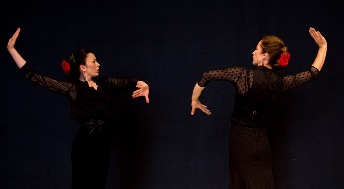 Fiesta Flamenca, MJC Pacé – Espace Le Goffic, Pacé