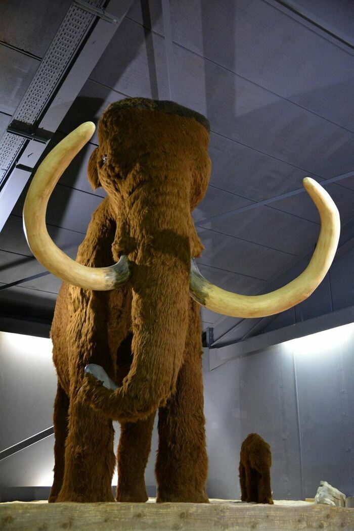 FIRA : Festival de la Randonnée en Cévennes, Préhistorama, Rousson