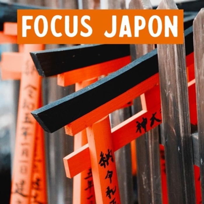 Focus Japon, Médiathèque Assia Djebar, Blanquefort