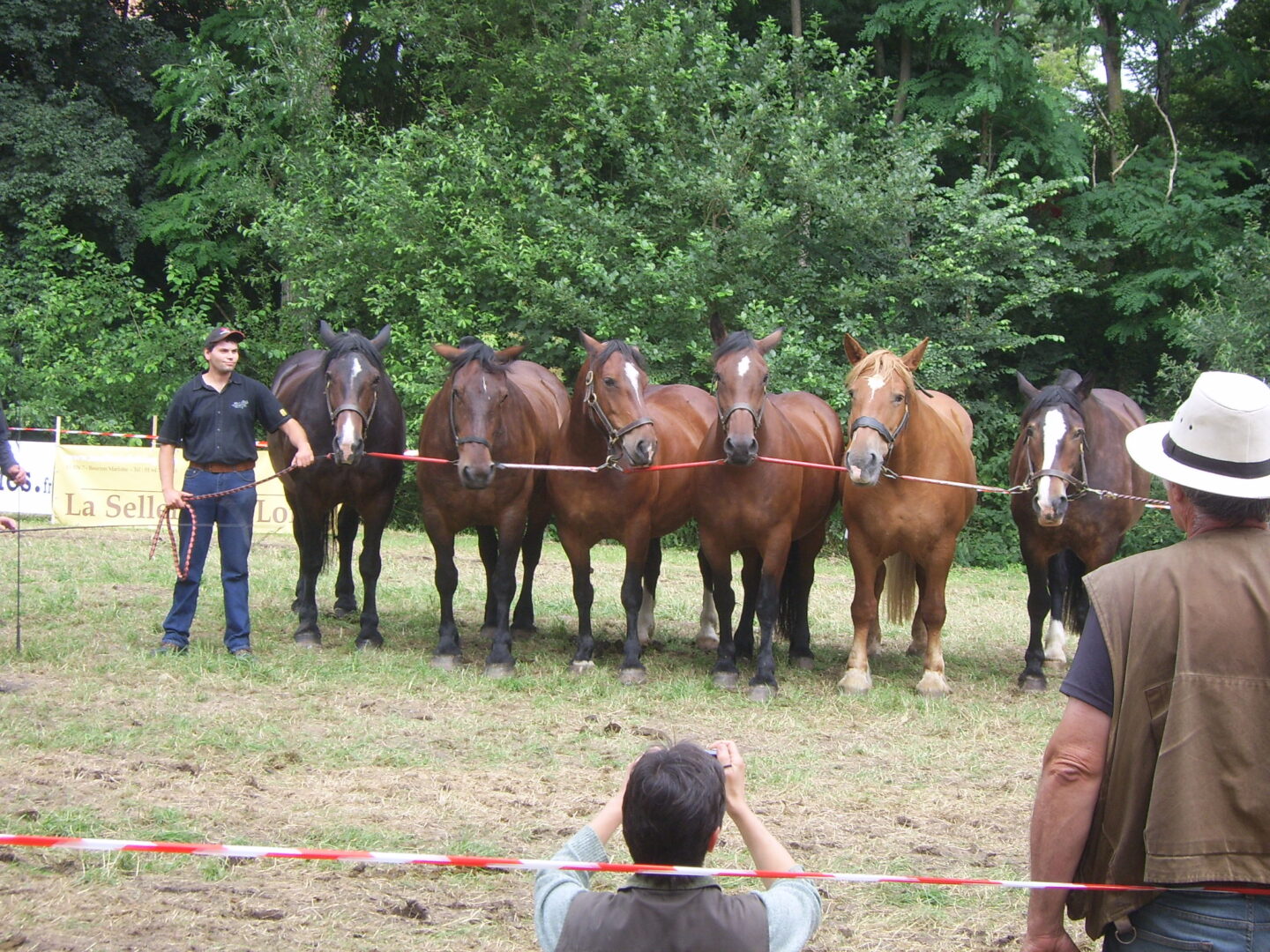 Foire aux bestiaux et concert  Sainte-Geneviève-des-Bois 2026-07-04