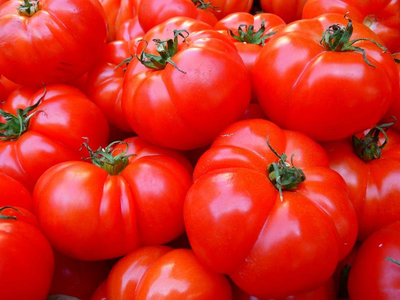 Foire aux tomates Douadic