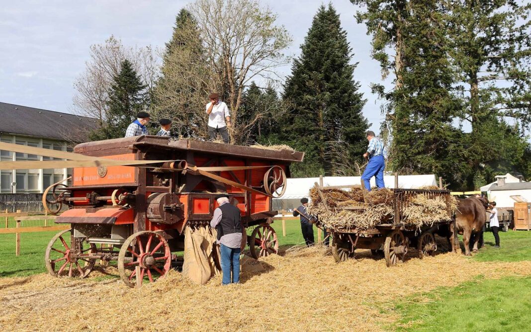 Foire d&rsquo;Automne à Arudy  Arudy